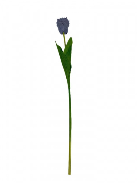 Tulipan gałązka 54 cm brudny niebieski