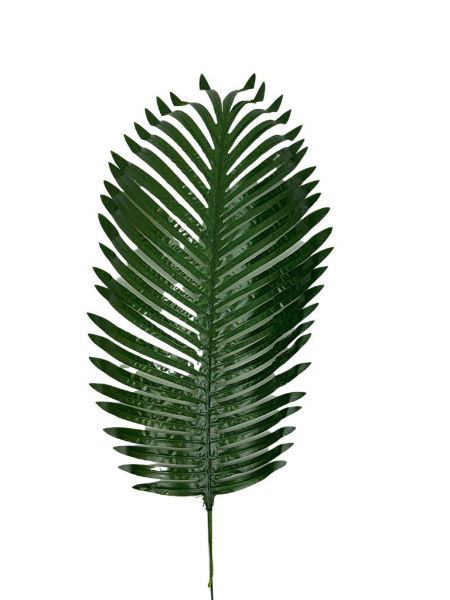 Liść palmy DUŻY 68 cm zielony