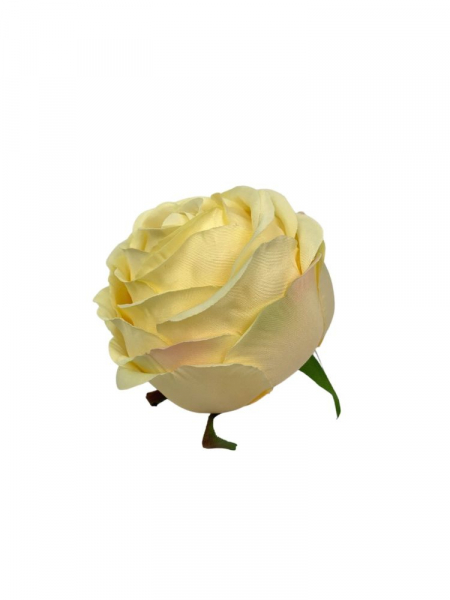 Róża główka 8 cm waniliowa