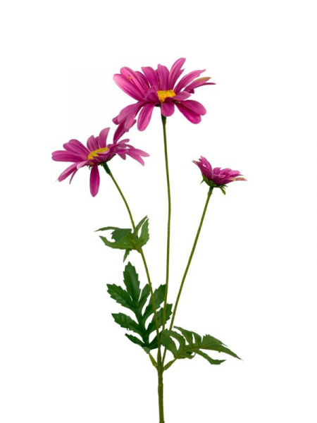 Margaretka kwiat pojedynczy 58 cm różowa