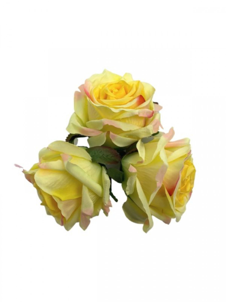 Róża główka 9 cm żółto różowa