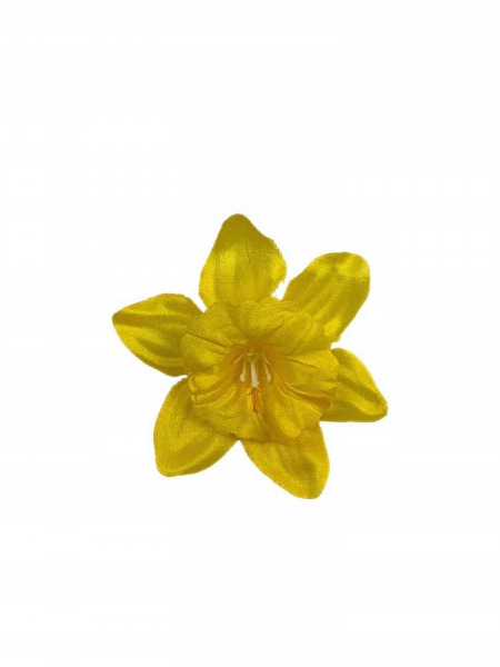 Żonkil narcyz mini główka 6 cm żółty