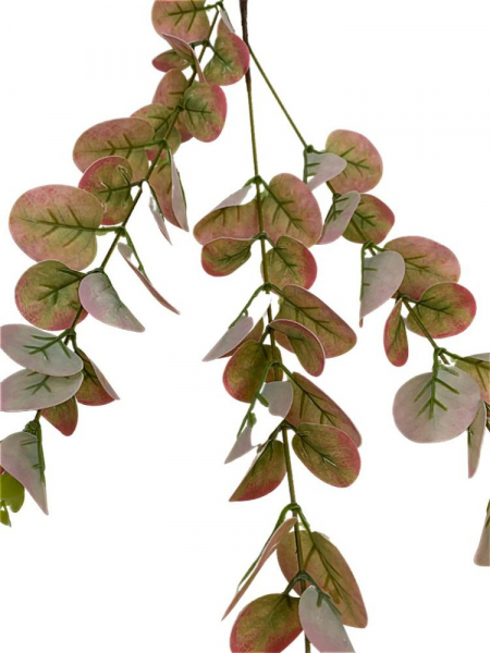 Eukaliptus gałązka 84 cm zielono czerwony