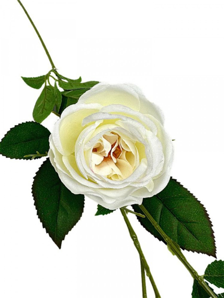 Róża gałązka 70 cm ecru