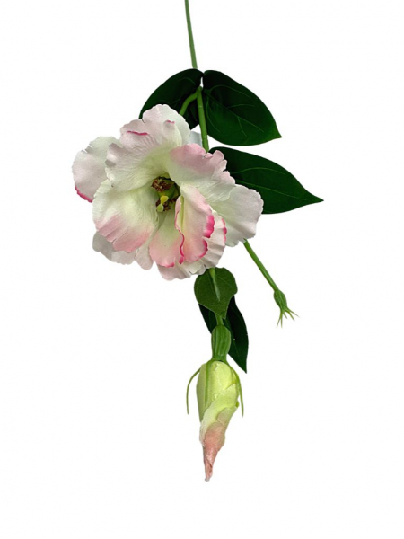 Eustoma gałązka 48 cm biała z różem