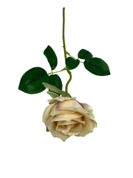Róża pojedyncza gałązka 48 cm beżowa
