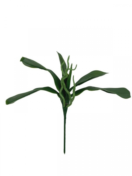Liść do storczyka 32 cm zielony