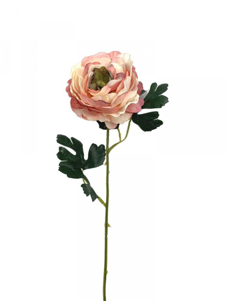 Pełnik kwiat pojedynczy 54 cm jasny róż z oliwkowym środkiem