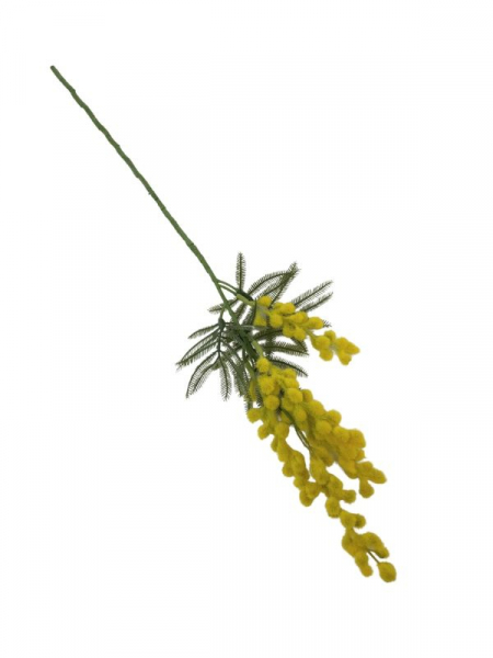 Mimoza na gałązce 57 cm żółta