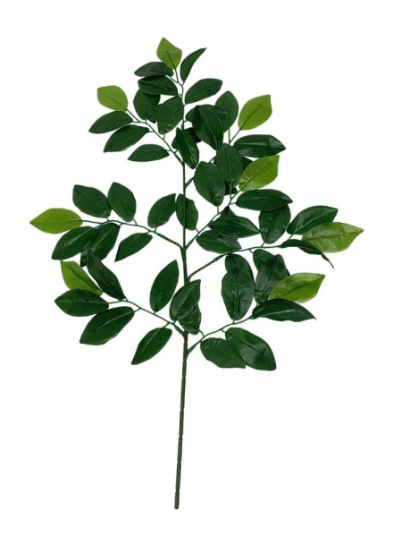 Fikus Benjamin liść 63 cm zielony
