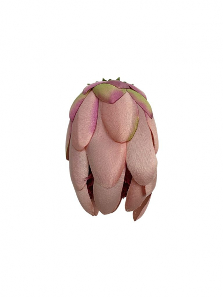 Protea główka wysokość 10 cm pudrowy róż