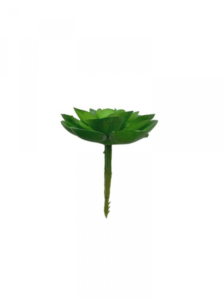 Sukulent 6 cm zielony matowy