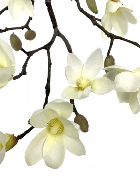 Magnolia gałązka 55 cm kremowa