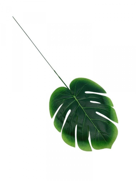 Monstera liść cieniowany 45 cm zielony