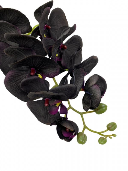Storczyk kwiat pojedynczy 100 cm czarny