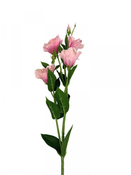 Eustoma gałązka 80 cm różowa