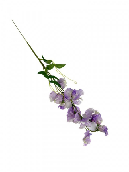 Groszek kwitnący gałązka 60 cm jasny fiolet