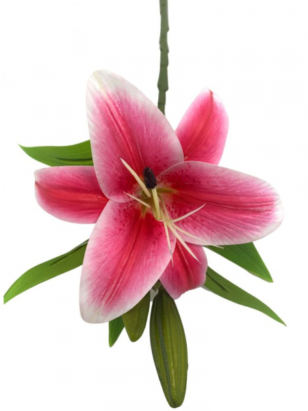 Lilia gałązka 35 cm różowa