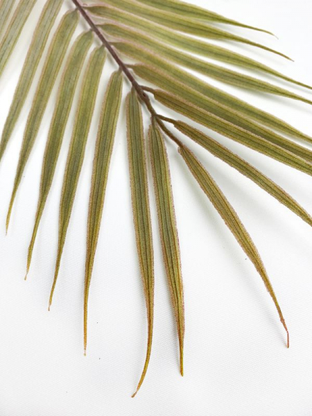 Liść palmy 61 cm brudny zielony