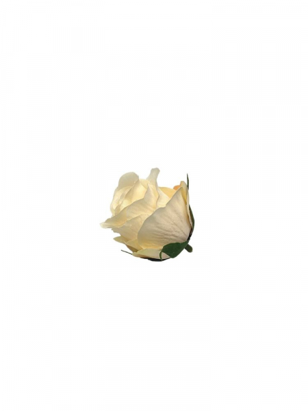 Róża główka 6 cm waniliowa