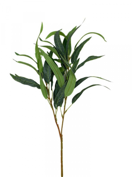 Liście oliwki gałązka 70 cm zielone omszone