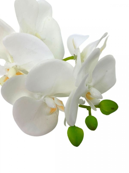 Storczyk kwiat pojedynczy 37 cm biały z żółtym środkiem