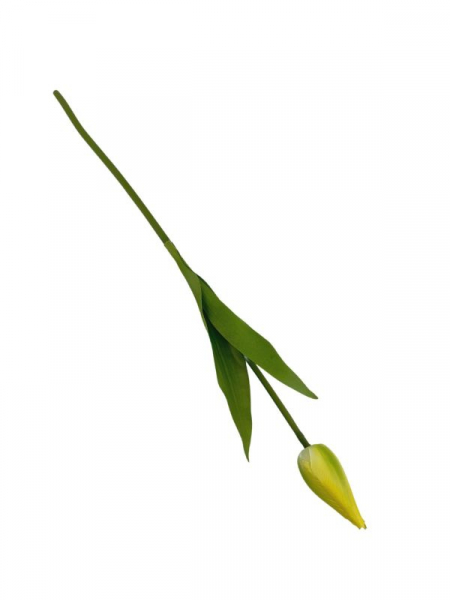 Tulipan kwiat pojedynczy 45 cm żółty
