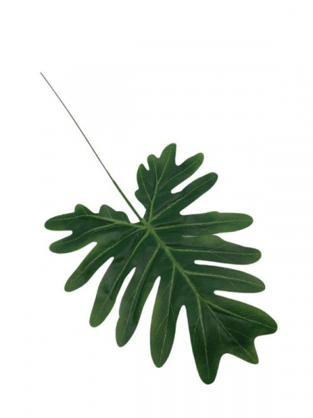 Filodendron liść 37 cm zielony