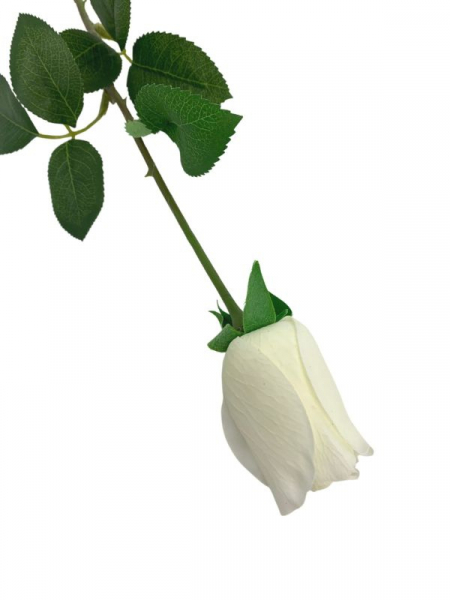 Róża kwiat pojedynczy 67 cm biała