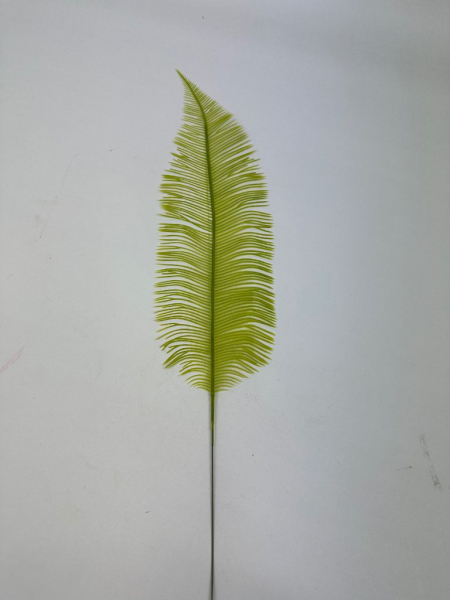 Liść palmy paproci 54 cm jasno zielony