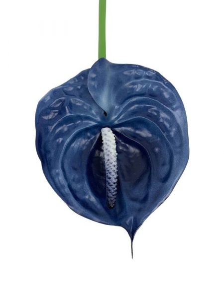Anturium kwiat pojedynczy silikonowy 70 cm ciemno niebieskie