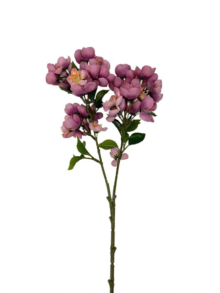 Jabłoń gałązka kwitnąca 58 cm brudny róż fiolet