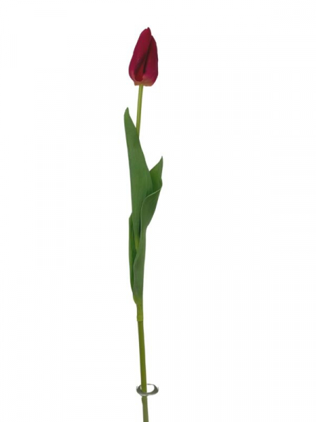 Tulipan kwiat pojedynczy 67 cm głęboki róż
