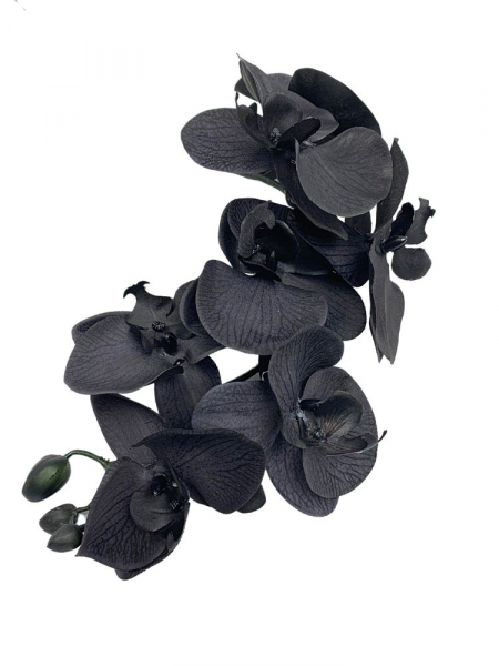 Storczyk kwiat pojedynczy 88 cm czarny