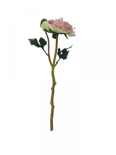 Pełnik kwiat pojedynczy 35 cm brudny róż