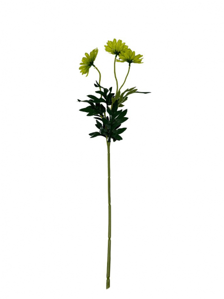 Margaretka gałązka 50 cm zielona
