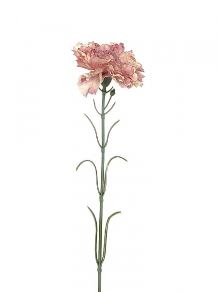 Goździk gałązka 52 cm kremowy z brudnym różem