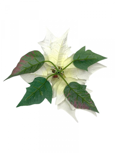 Gwiazda betlejemska kwiat wyrobowy 20 cm biała