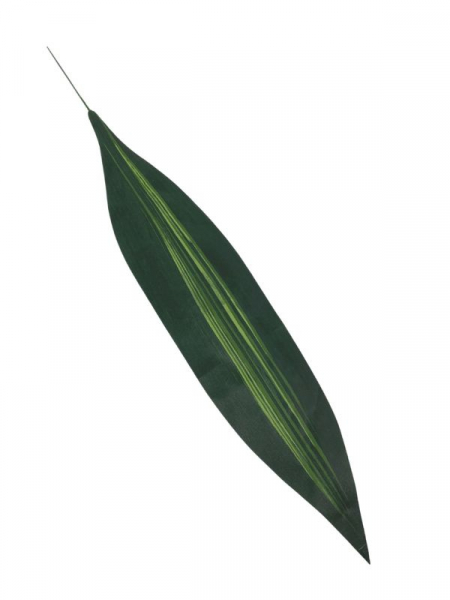 Liść draceny 60 cm zielony