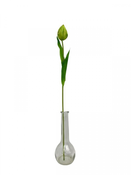 Tulipan kwiat pojedynczy 50 cm zielony