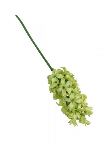 Hiacynt gałązka 40 cm jasno zielony