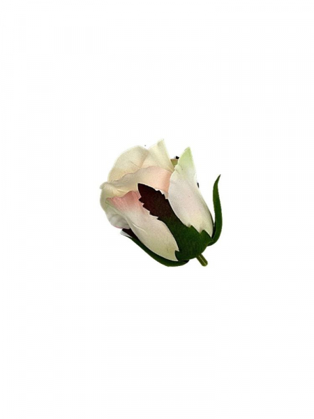 Róża główka 5 cm kremowa z jasną brzoskwinią