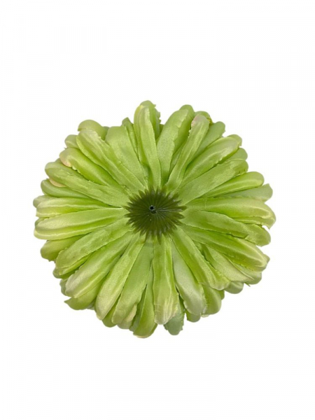 Chryzantema główka XL 16 cm jasno zielona z dodatkiem różu