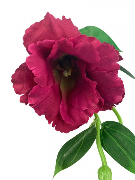 Eustoma gałązka 48 cm fuksja ciemy róż