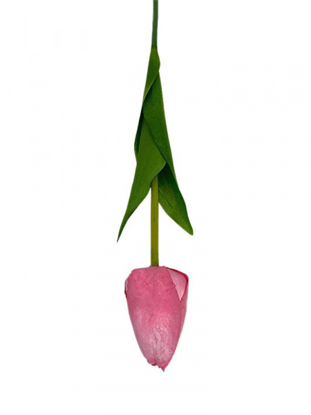 Tulipan matowy gałązka 54 cm różowy