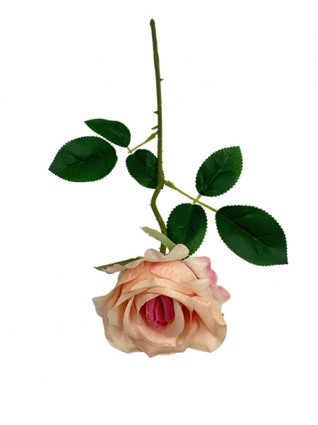 Róża pojedyncza gałązka 48 cm pudrowy róż z różowym środkiem
