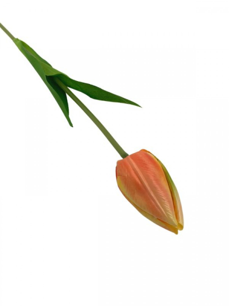 Tulipan kwiat pojedynczy 50 cm brzoskwiniowy