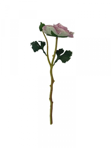 Pełnik kwiat pojedynczy 35 cm brudny fiolet z jasną zielenią