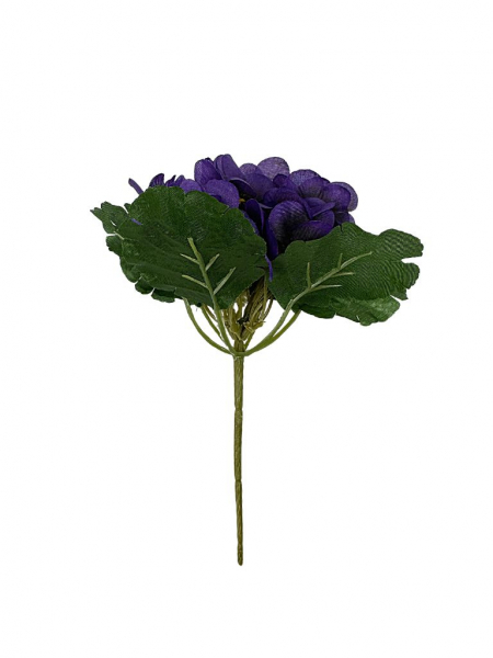 Fiołek (prymulka) bukiet 21 cm ciemny fiolet i czarny