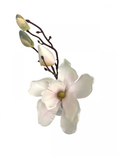 Magnolia gałązka 33 cm biała z jasno różowym środkiem